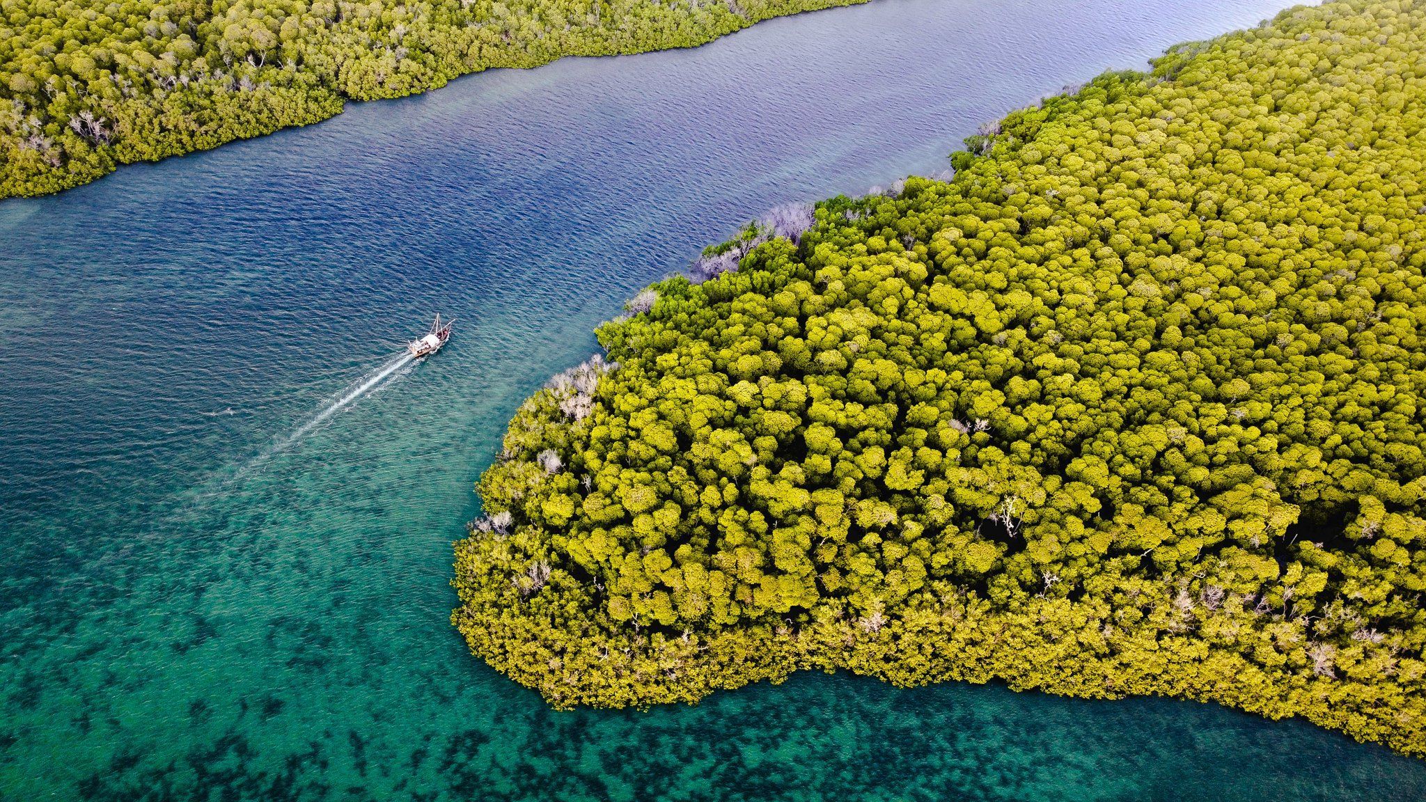 2048x1152 Lamu Kite Safari catamaran