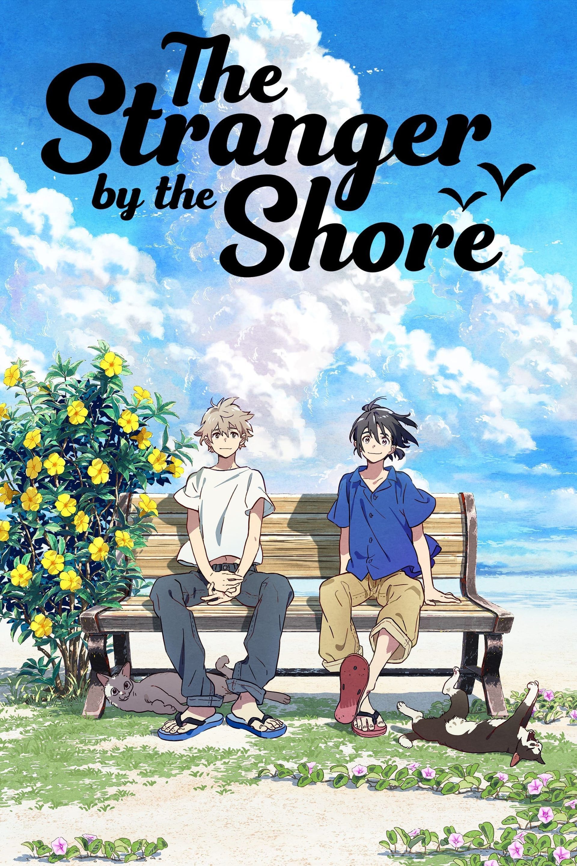 1920x2880 Watch The Stranger by the Shore 2020