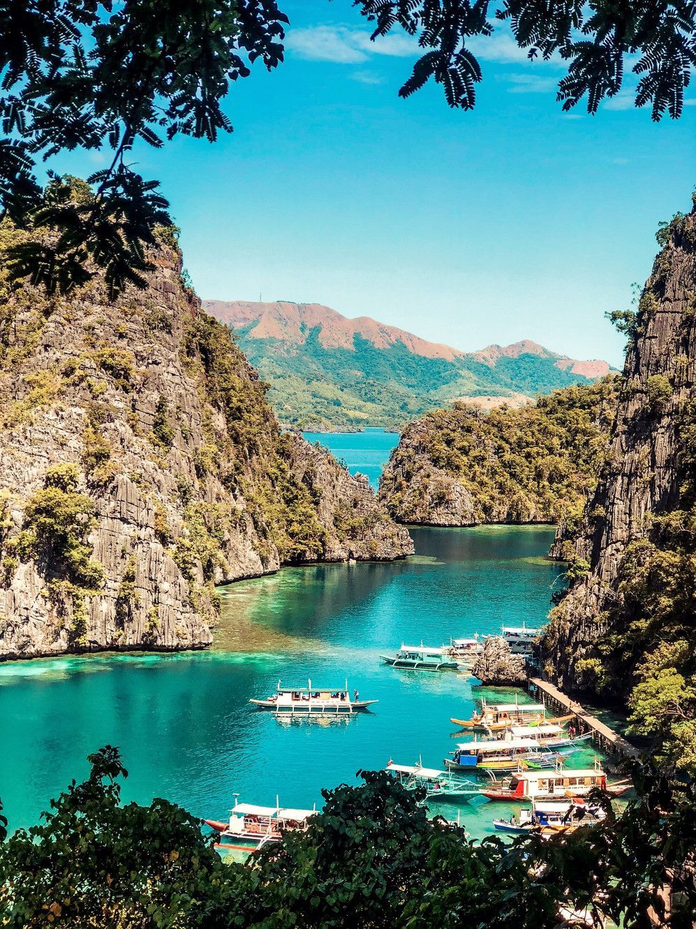 997x1330 GALLERY. Blue Lagoon Travels