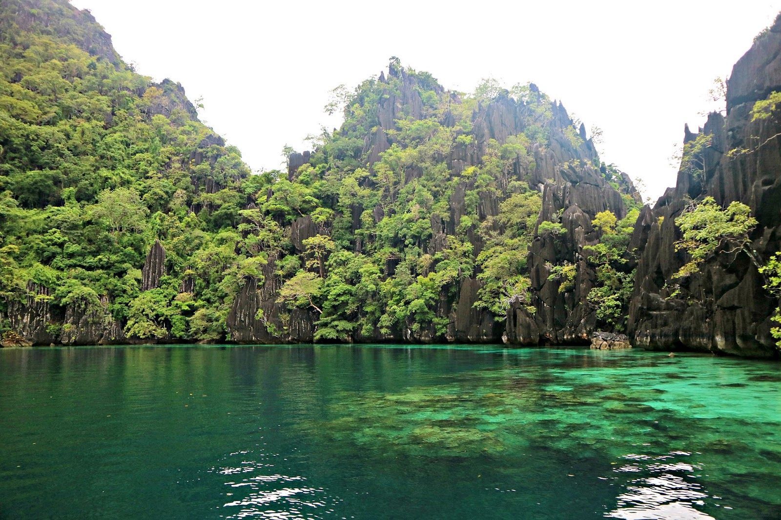 1600x1066 Coron, Palawan: Kayangan Lake and its
