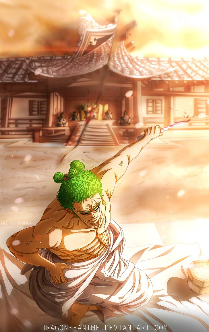 728x1156 HD wallpaper: Roronoa Zoro, One Piece