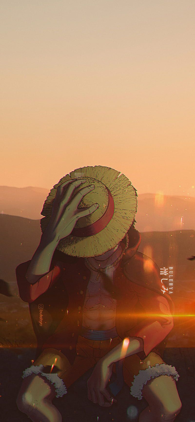 800x1732 HD one piece wallpaper