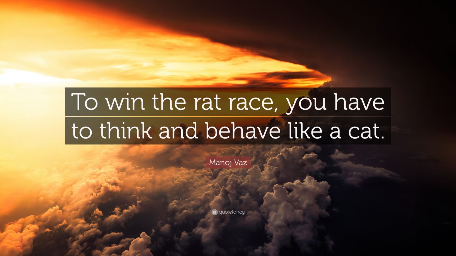 1600x900 Manoj Vaz Quote: “To win the rat race