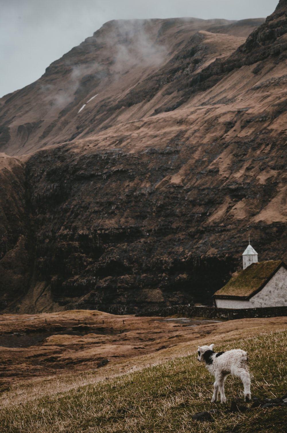 1000x1509 Saksun, Faroe Islands Picture. Download Free Image
