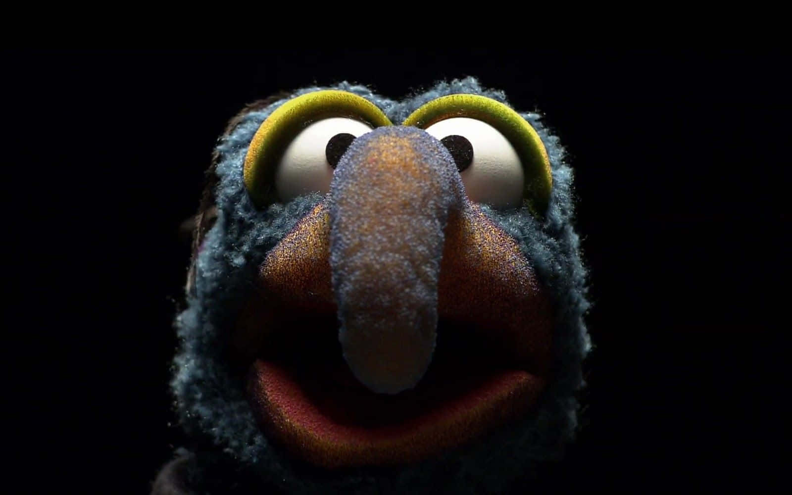 1600x1000 Download free Muppet Character Close Up