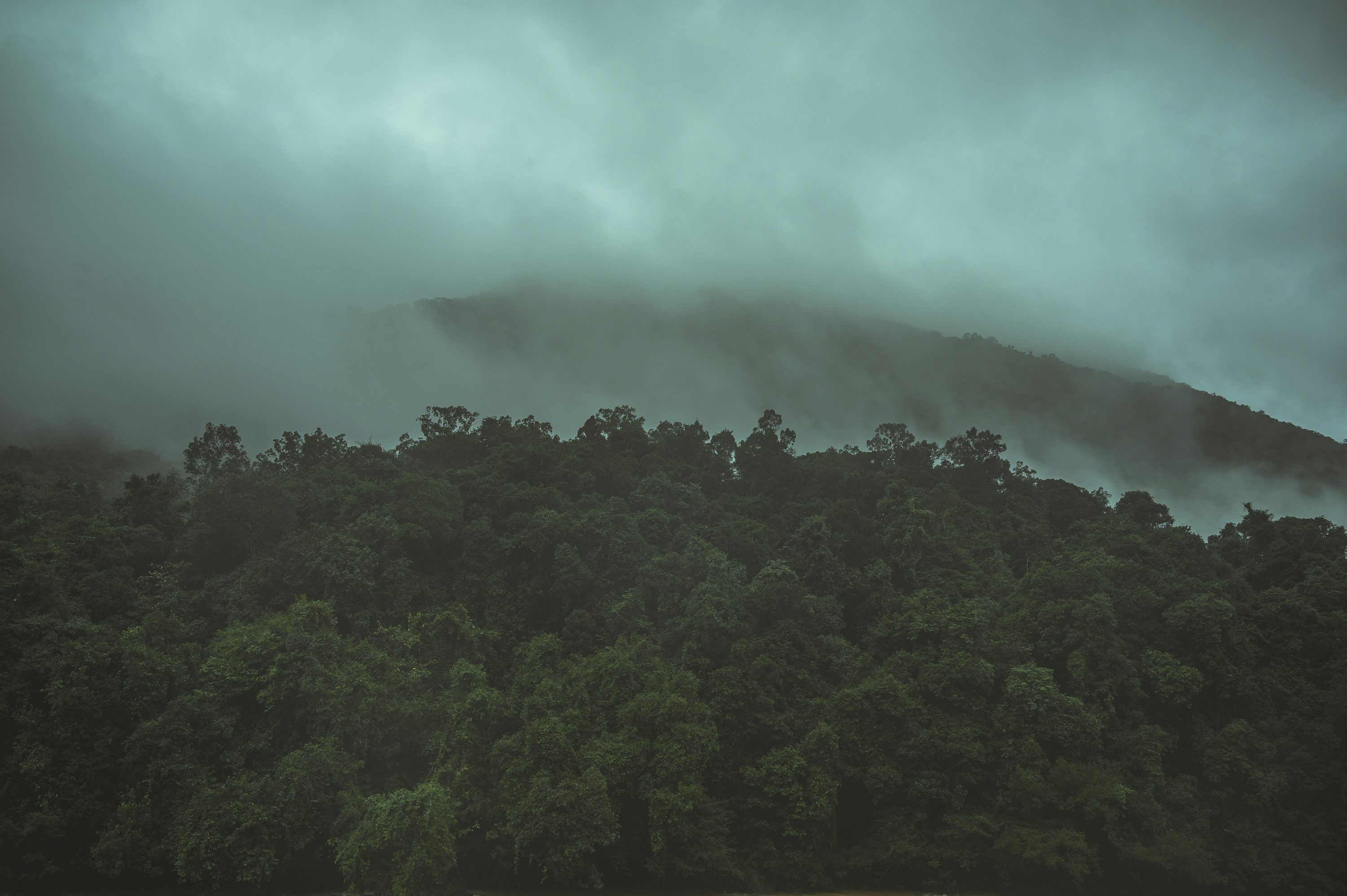3000x1996 Western Ghats Picture