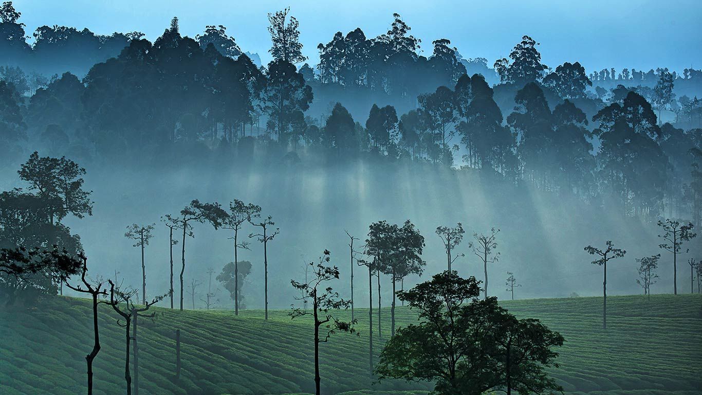 1366x768 Bing Wallpaper Archive