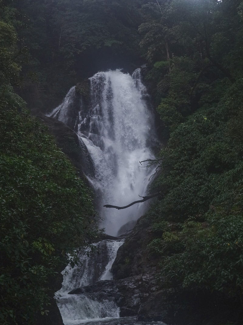 800x1067 HD western ghats wallpaper