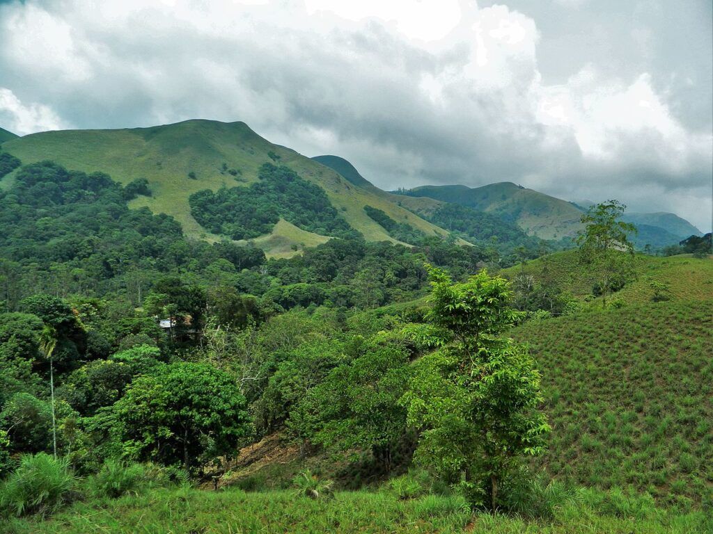 1024x768 Biodiversity of The Western Ghats