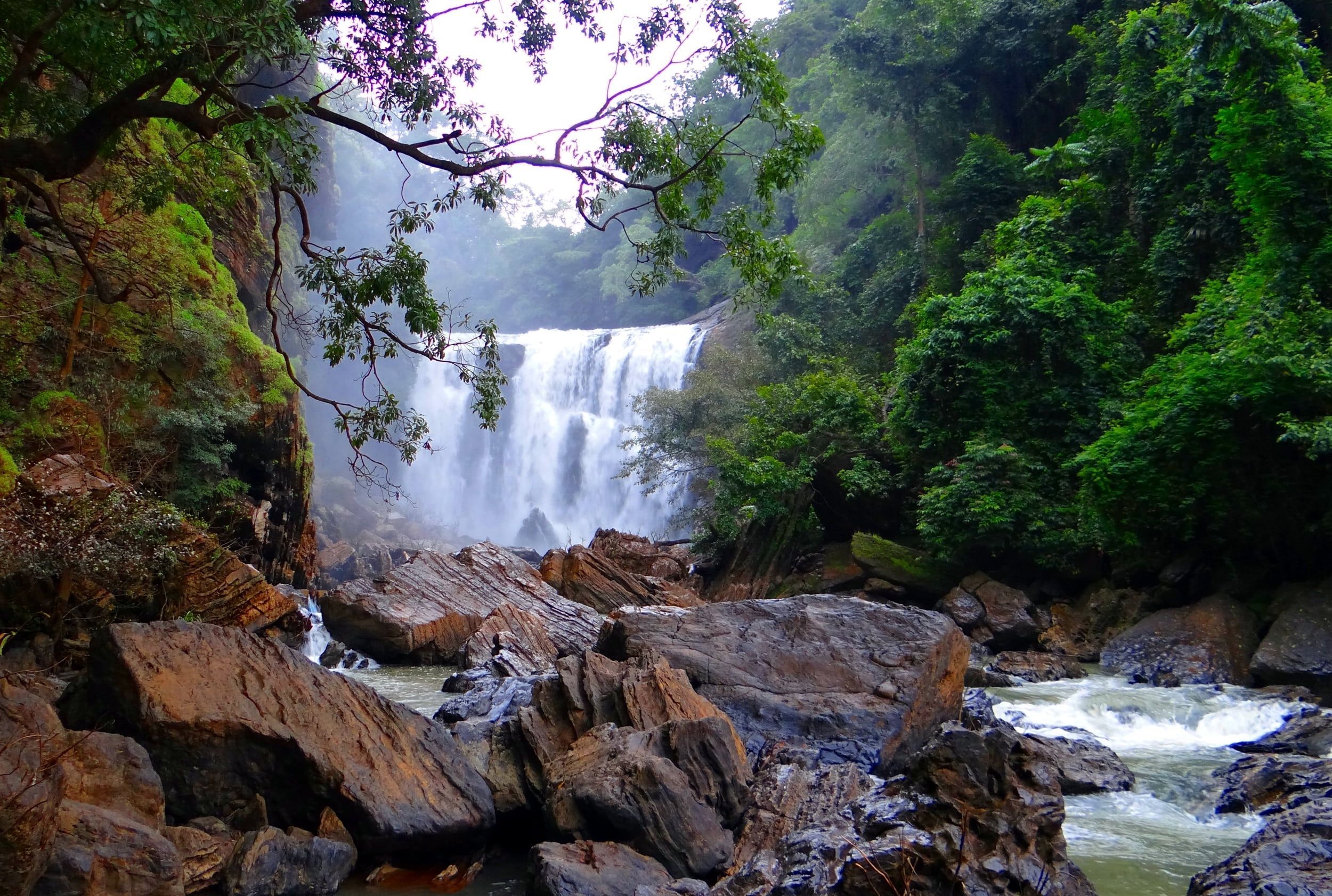 2500x1682 Photography of waterfalls in forest