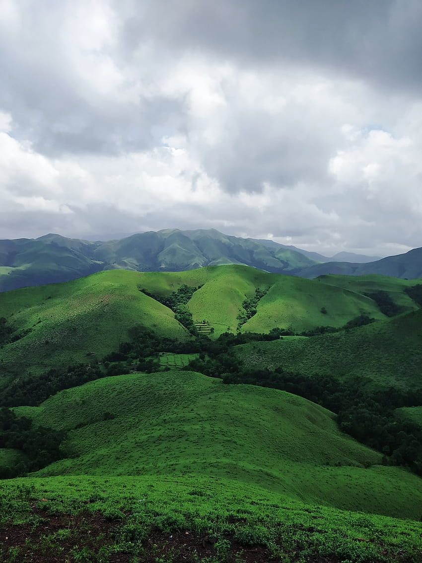 850x1133 Western Ghats HD phone wallpaper