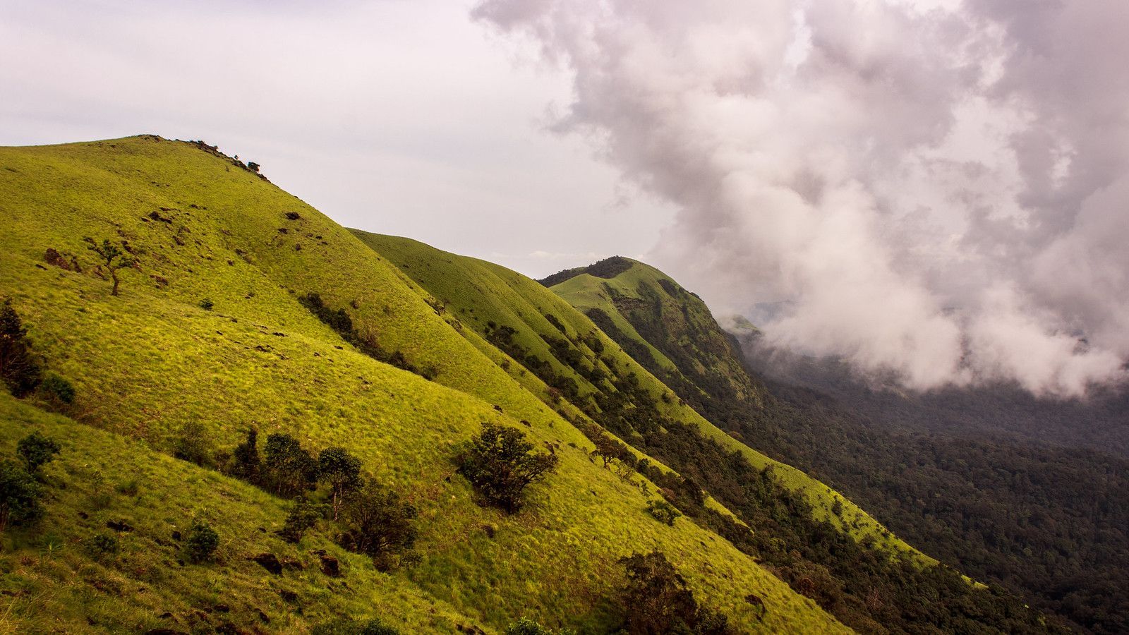 1600x900 Western Ghats, India