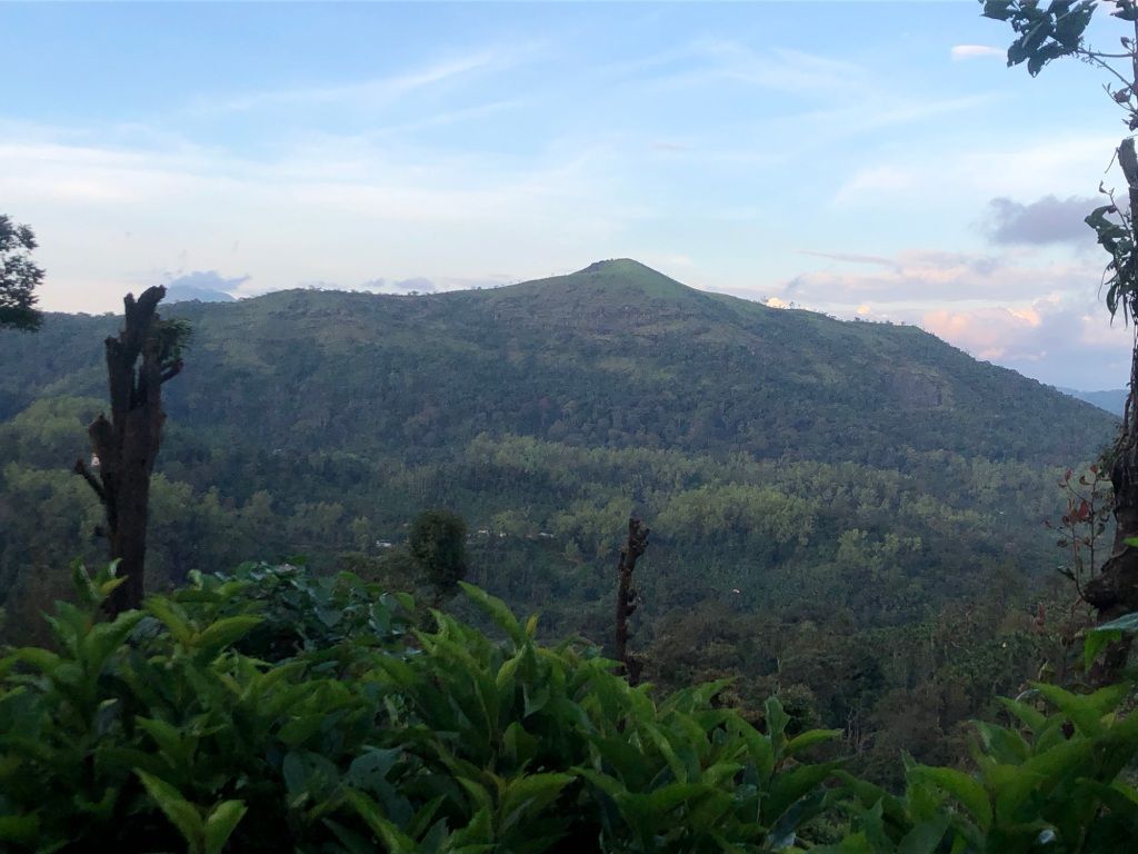1024x768 DAILY PHOTO: Western Ghats