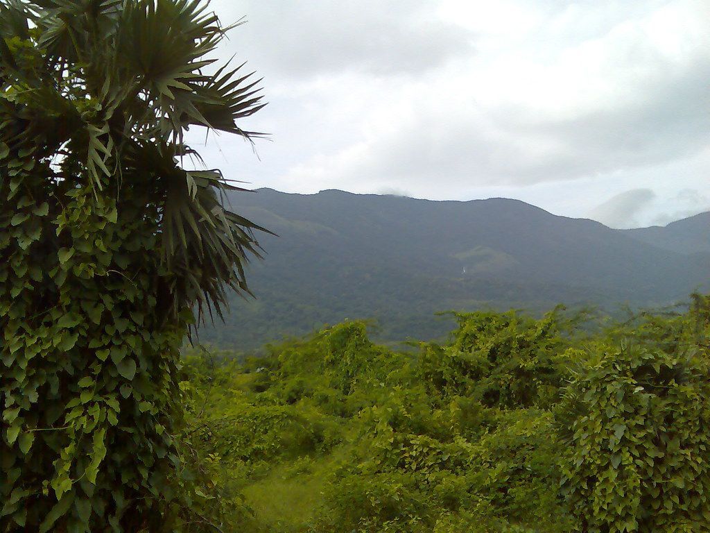 1024x768 scenic western ghat range on siruvani