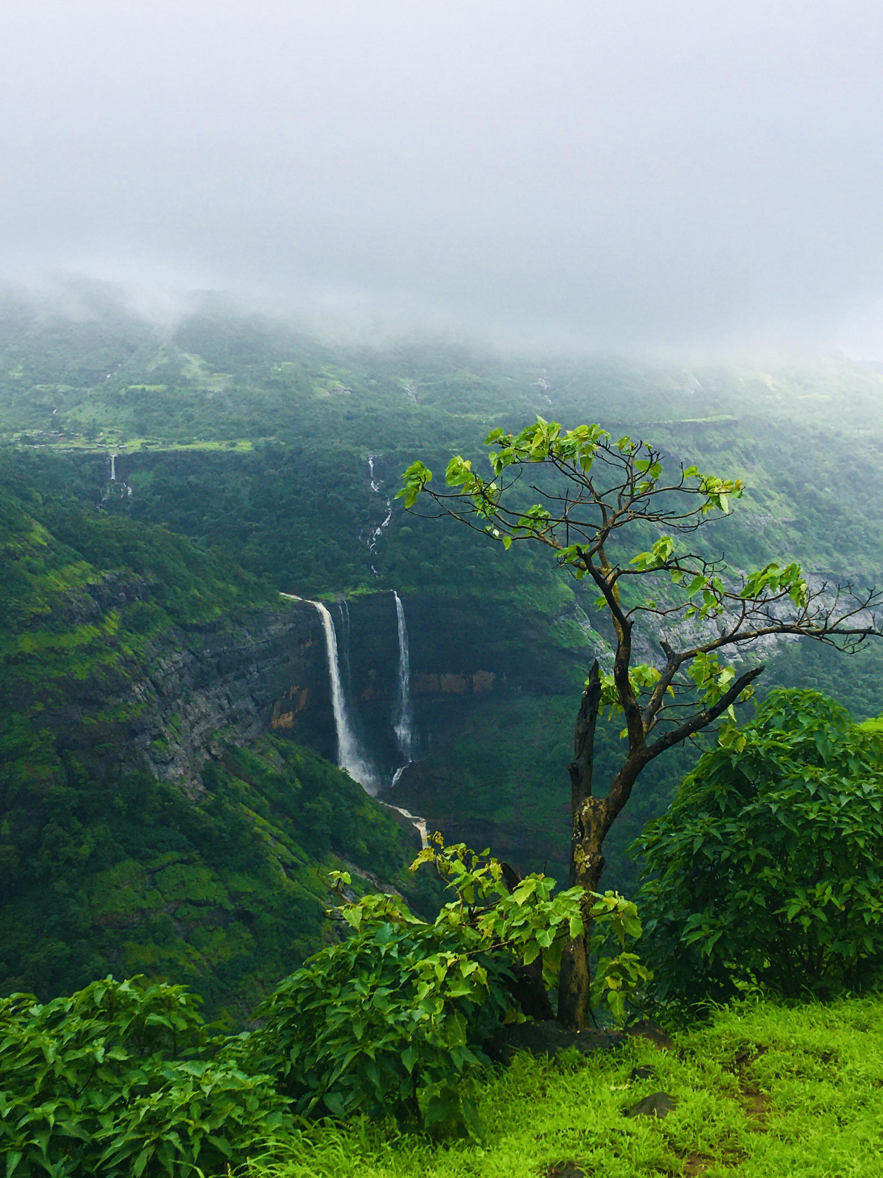 3024x4032 Western Ghats during the monsoon, India