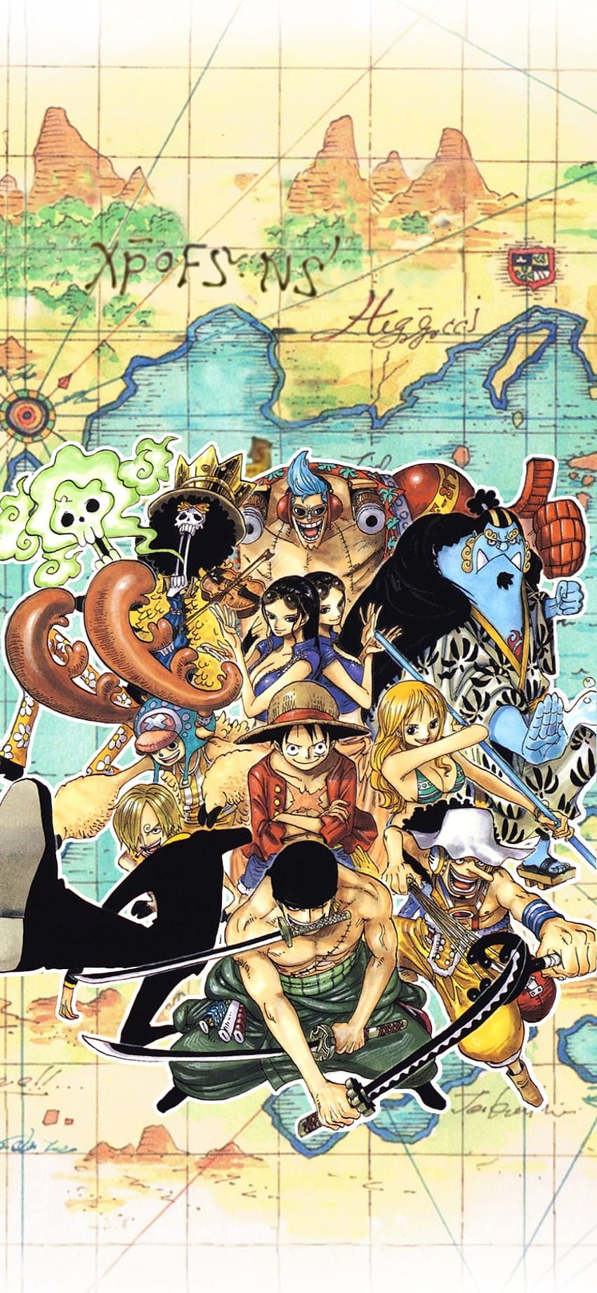850x1840 Whole Straw Hat Crew, mugiwara crew HD