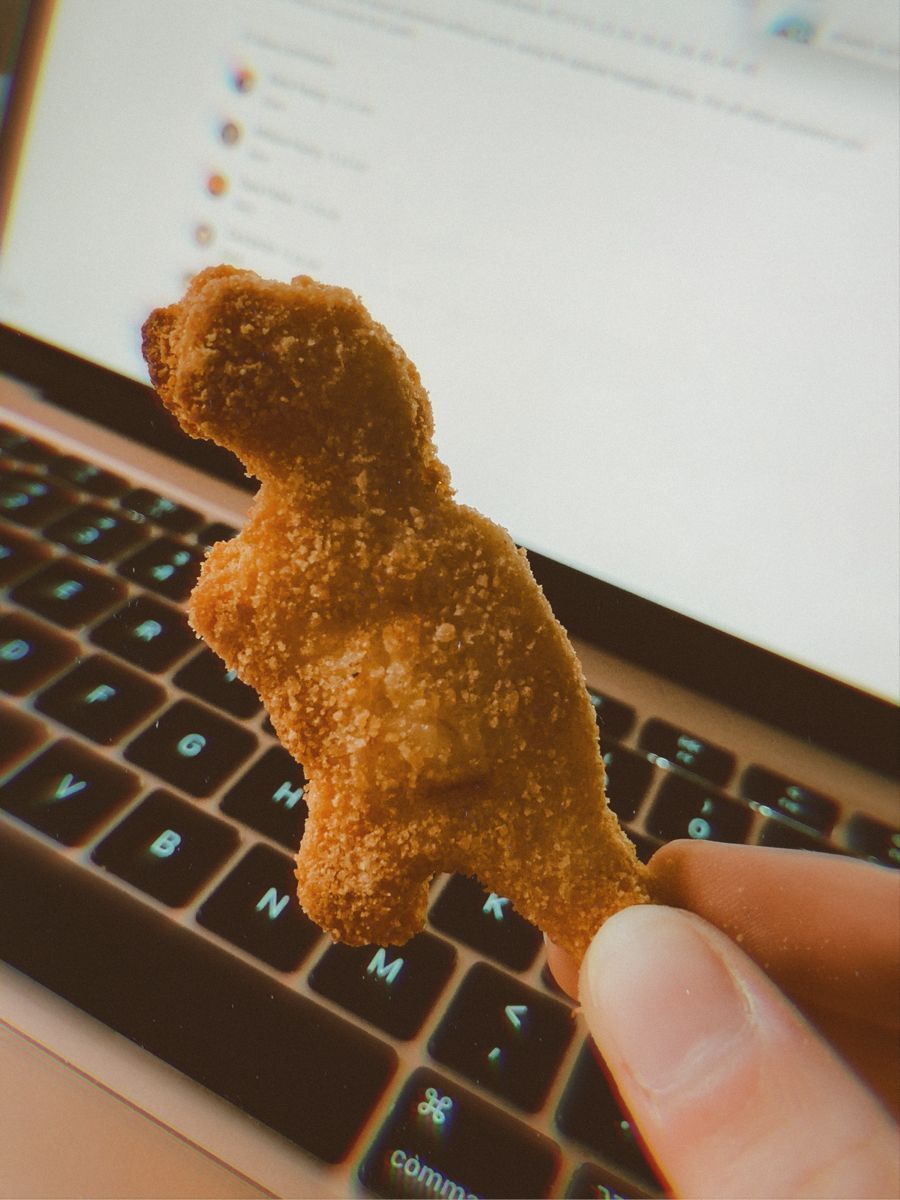 900x1200 aesthetic photo- Dino chicken nugget