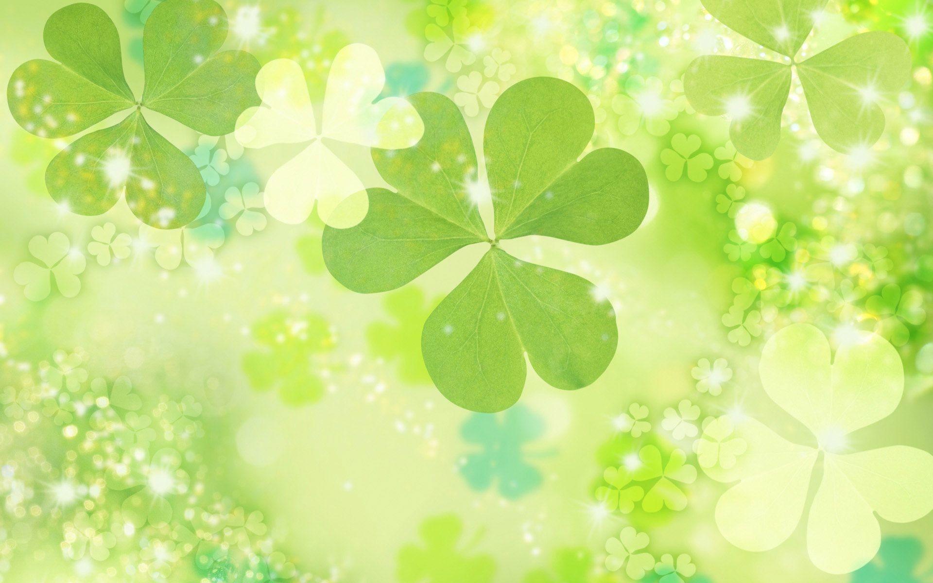 Shamrock Wallpaper Background Free Stock Photo  Public Domain Pictures