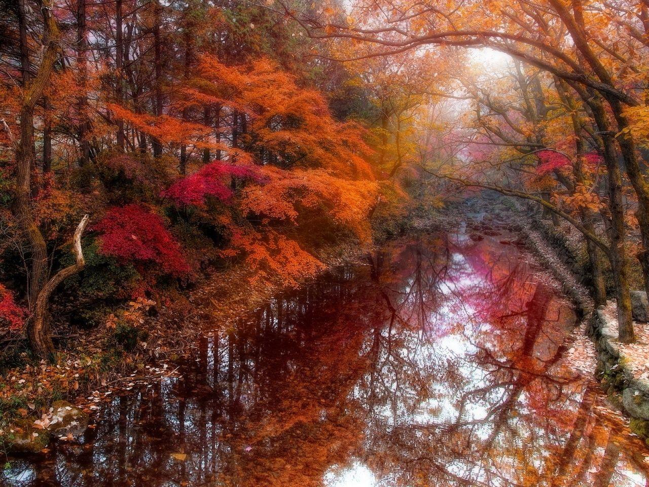 1280x960 Autumn Reflection South Korea desktop PC and Mac wallpaper