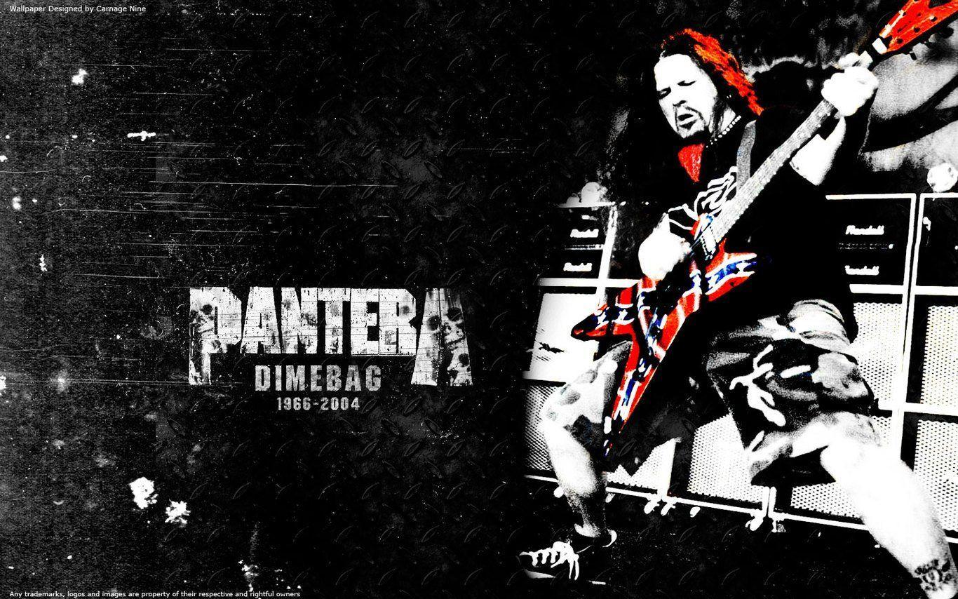 1366x854 Pantera Wallpaper HD