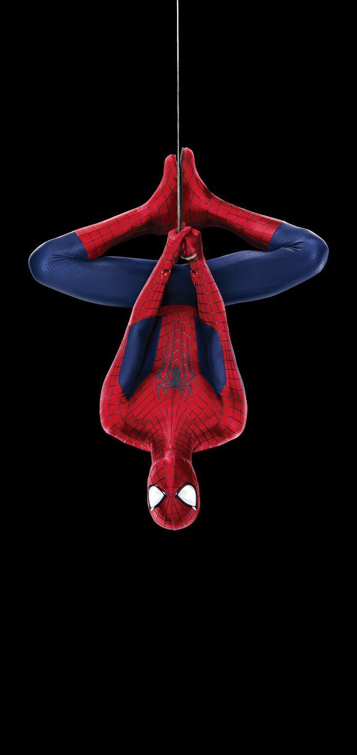 736x1554 Spider Man Oled Wallpaper Phone