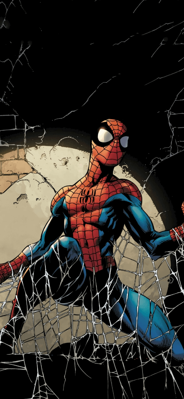 640x1388 Spider Man Wallpaper Amazing Spider