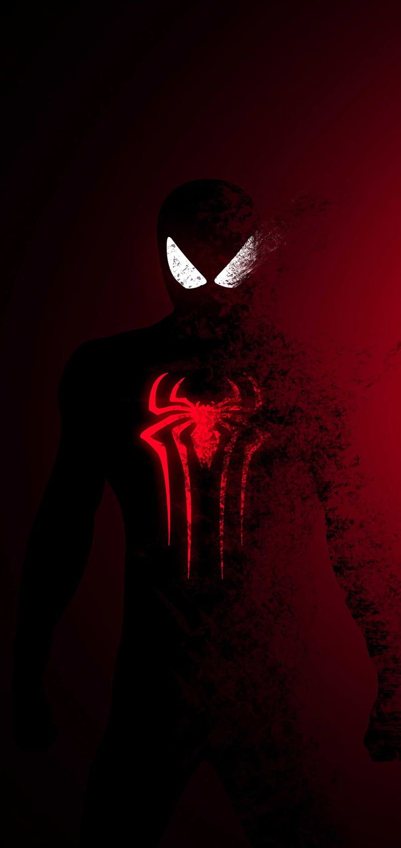800x1689 HD spiderman wallpaper