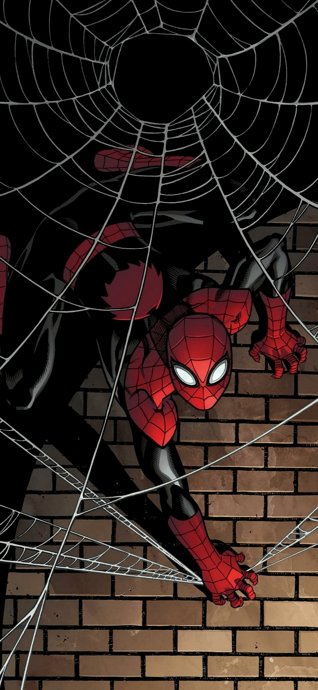 1080x2343 Spider Man Wallpaper [1888x4096] : R