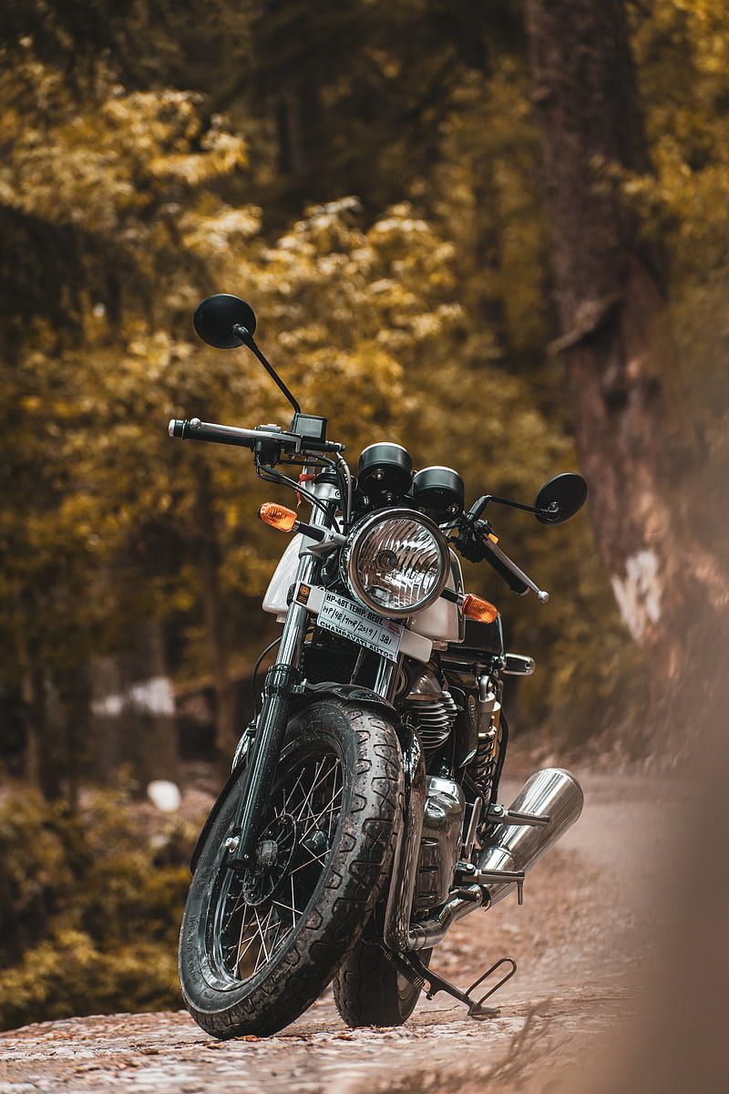800x1200 Continental GT, automobile, best, bike, bikes, forest, motorcycle, nature, royal enfield, HD phone wallpaper