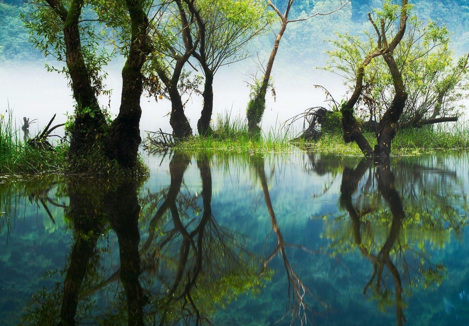 1500x1043 photography, Nature, Landscape, Reflections, River, Trees, Grass