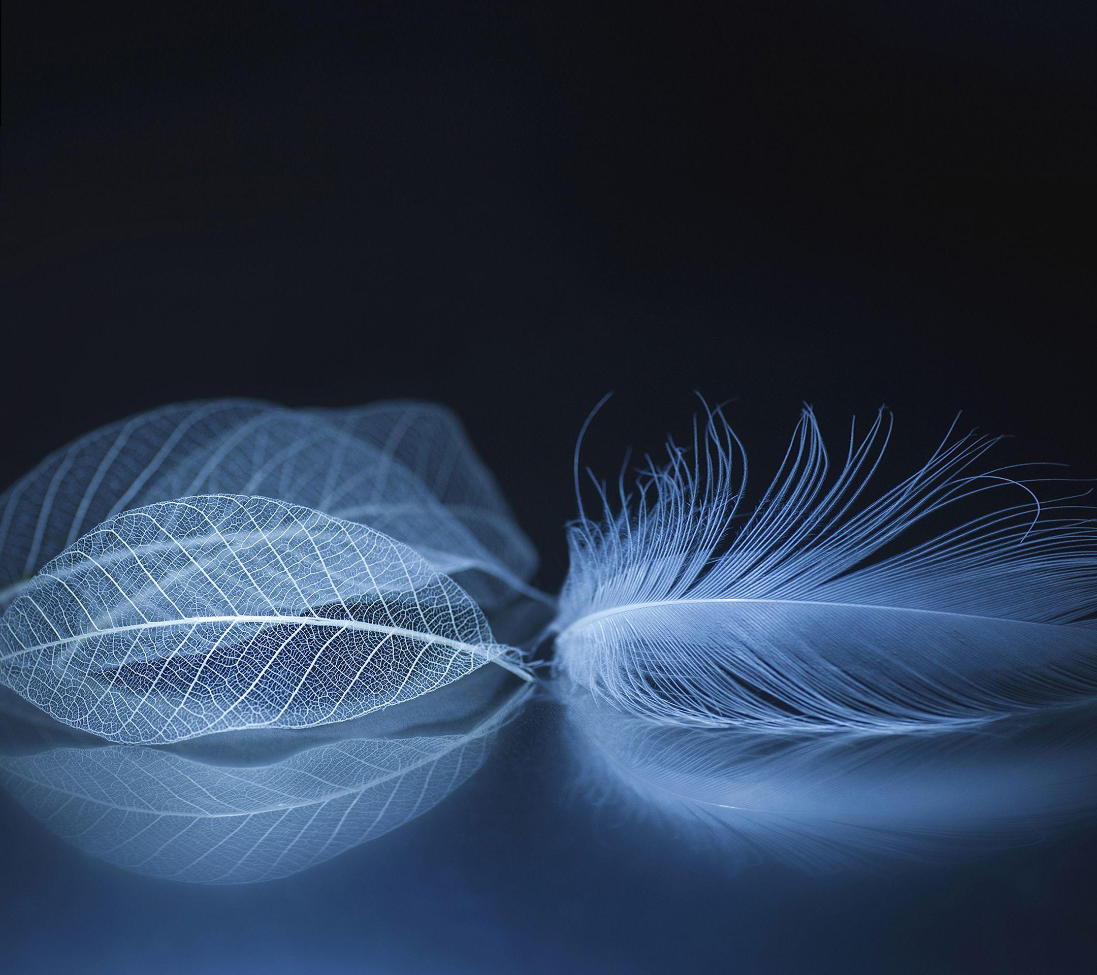 2160x1920 Download ZTE Axon M Stock Wallpaper (19 FHD Wallpaper)