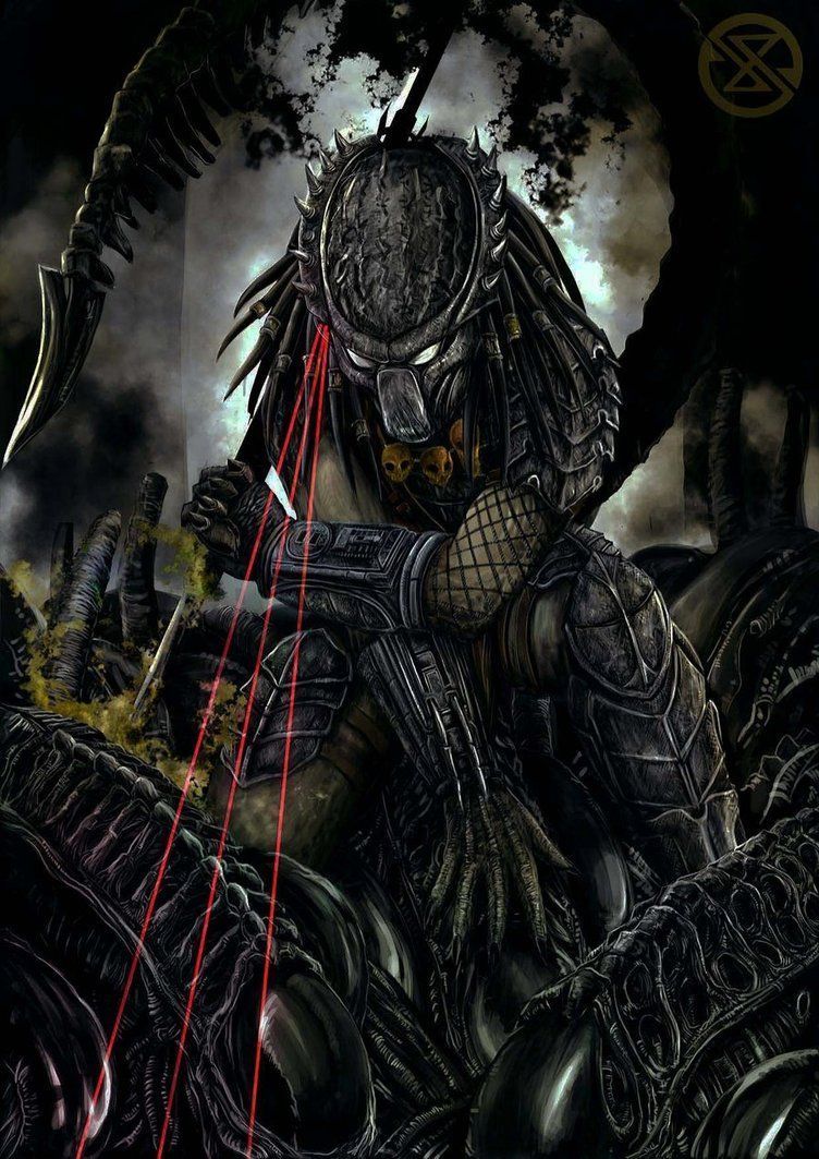 752x1063 Predator Phone Wallpaper