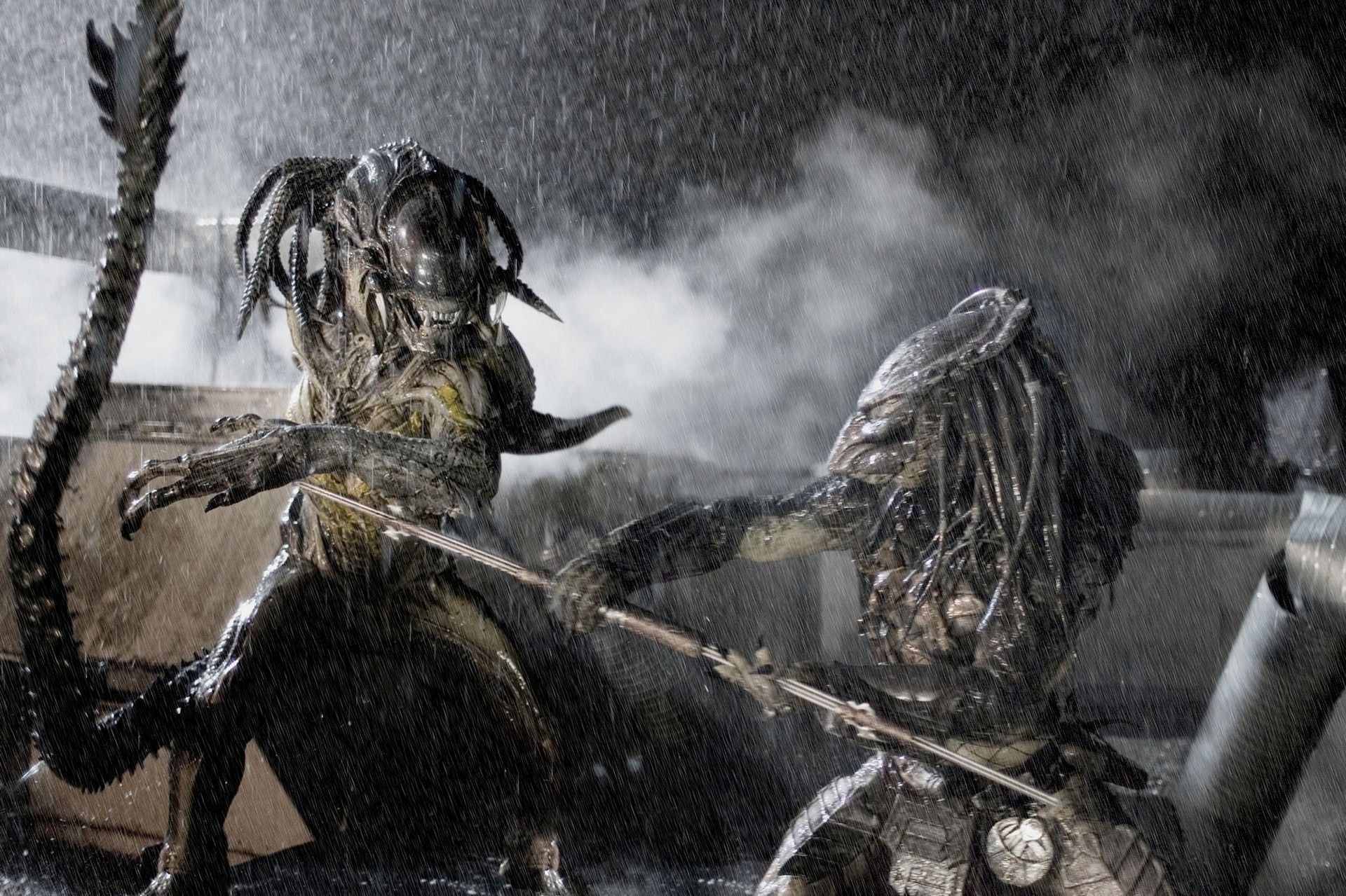 1920x1279 Wolf (Predator) wallpaper for desktop