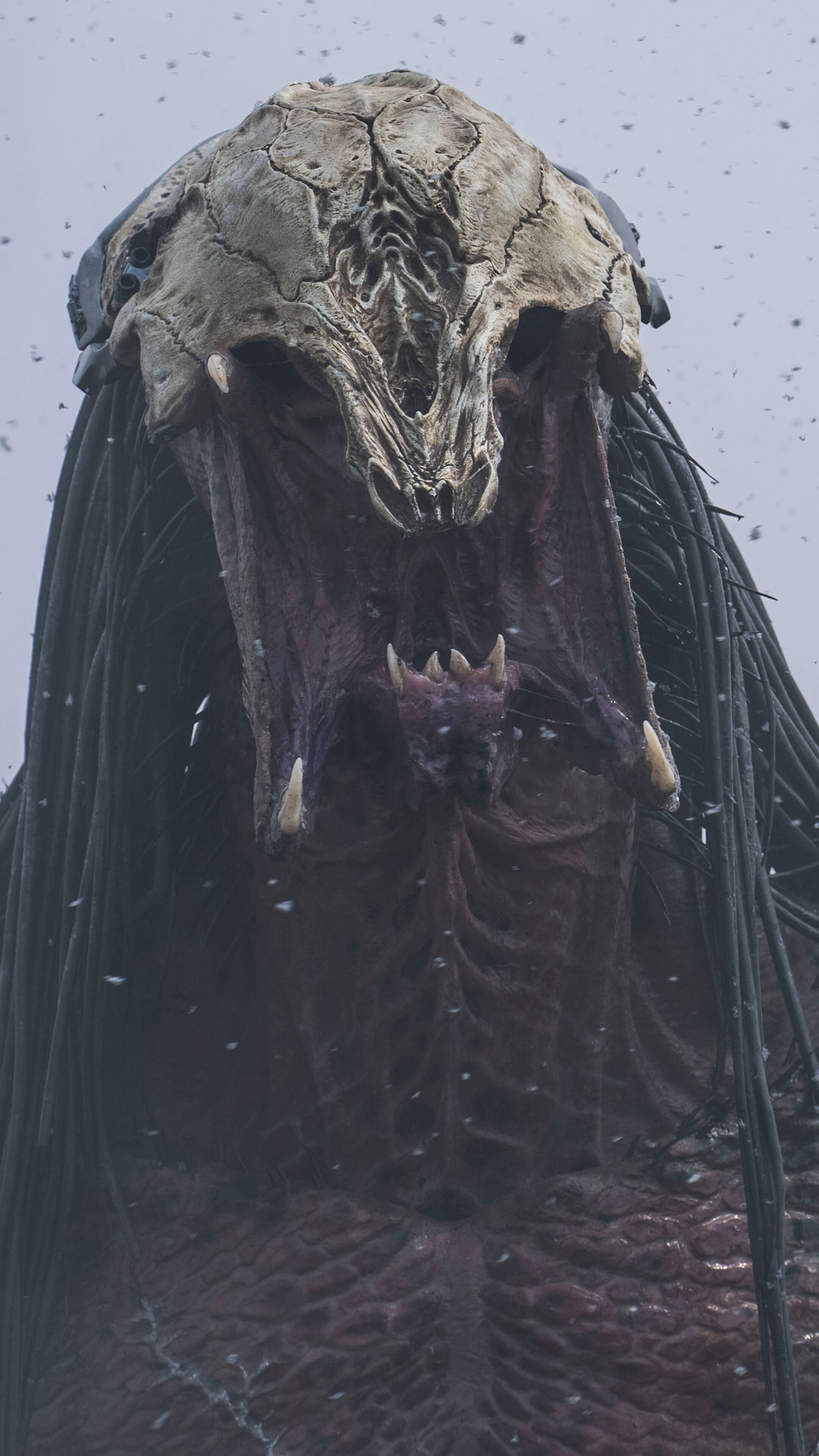 2160x3840 Prey 2022 Predator Face 4K Wallpaper