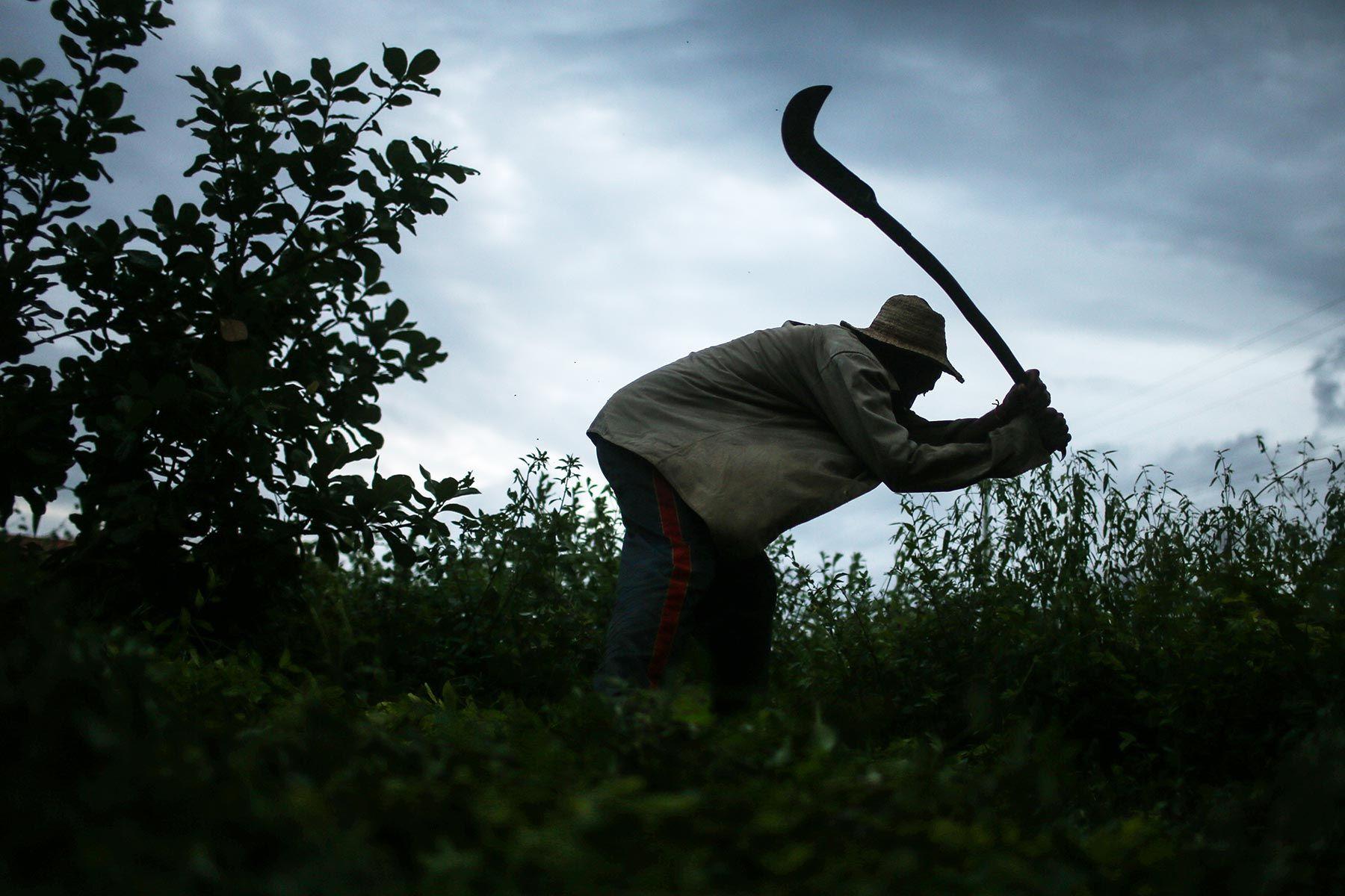 1800x1200 The fight against slavery in Brazil. Al Jazeera America