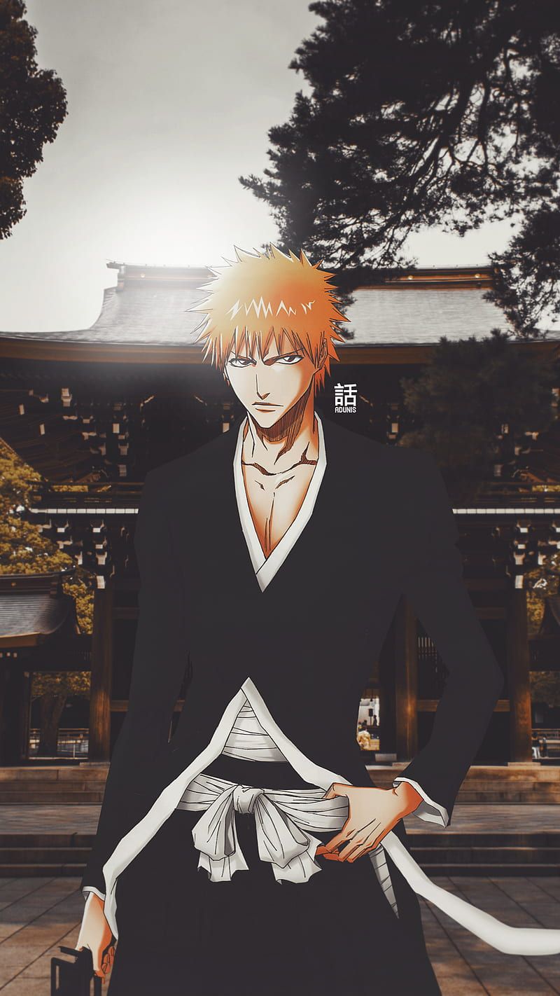 800x1422 Bleach, ichigo, rukia, HD phone