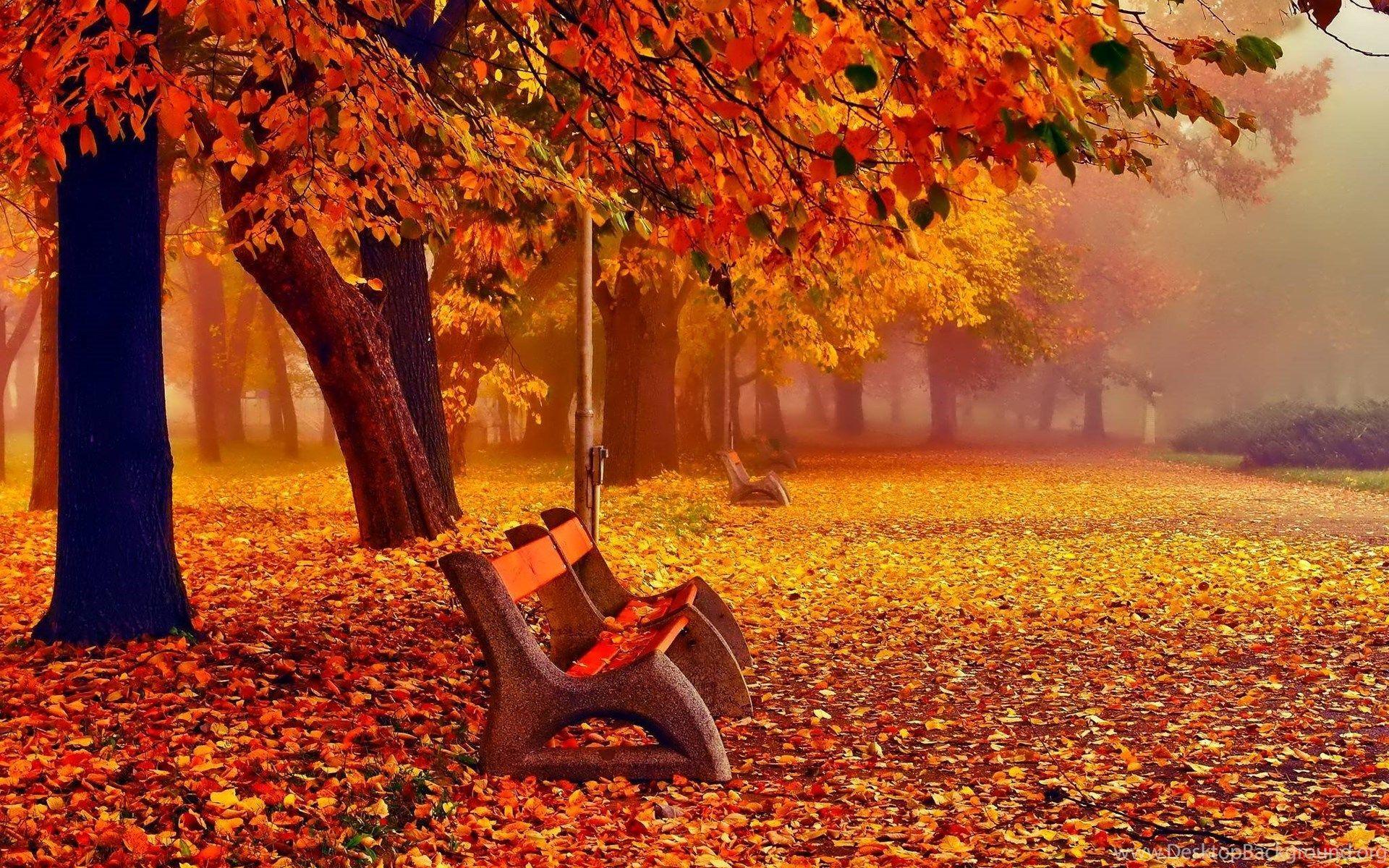  November Nature Wallpapers Top Free November Nature Backgrounds 