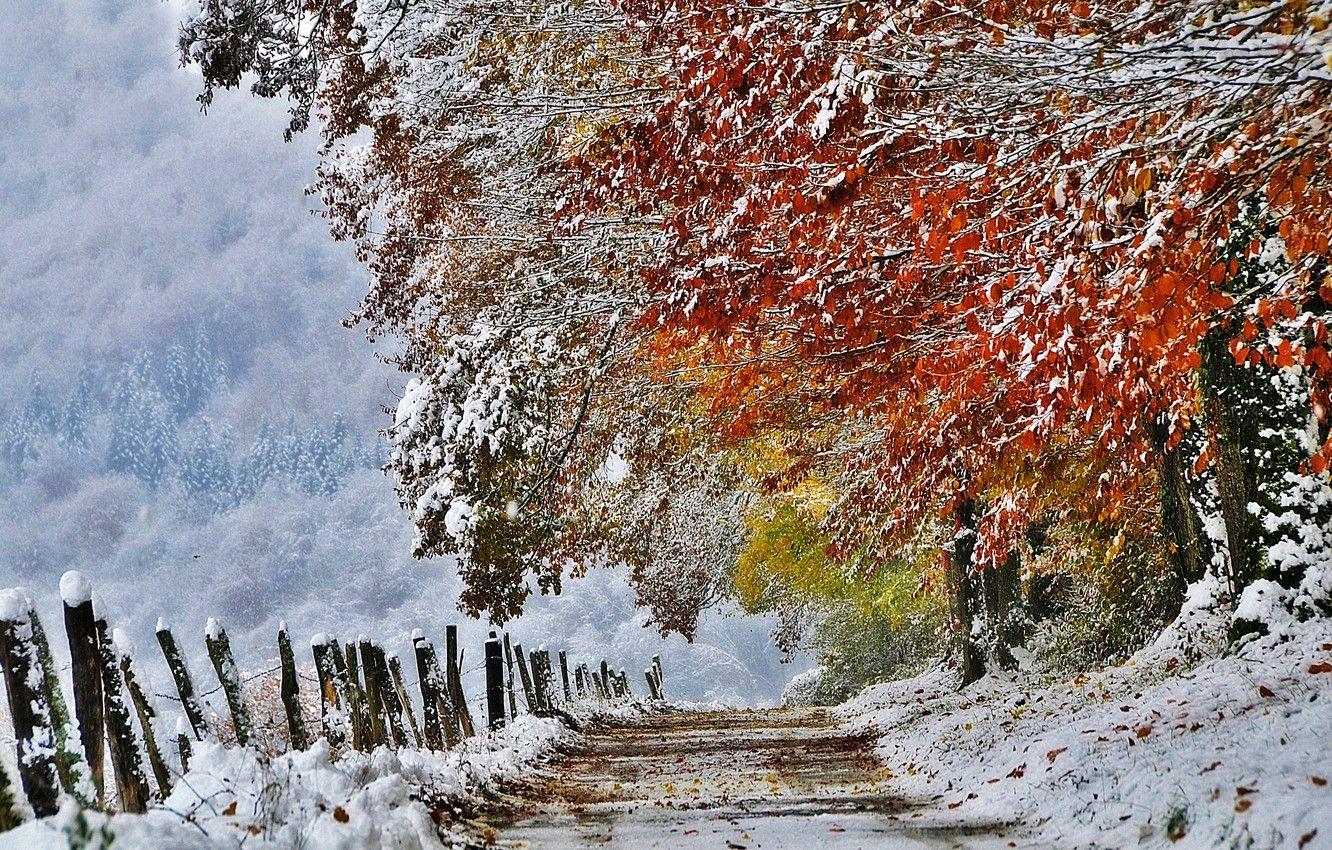1332x850 Wallpaper autumn, snow, nature, France, November image