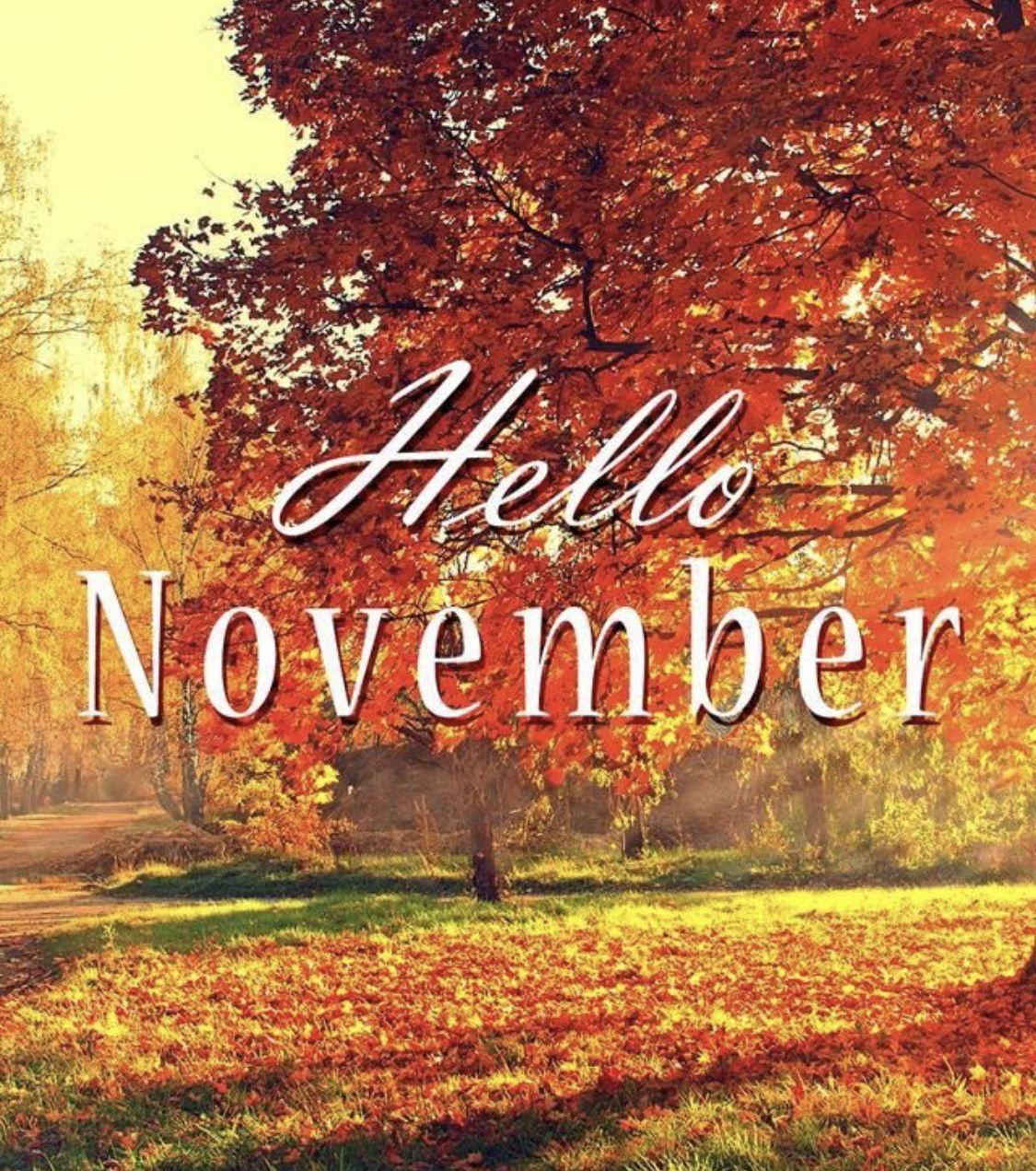 Happy November Wallpapers - Top Free Happy November Backgrounds ...