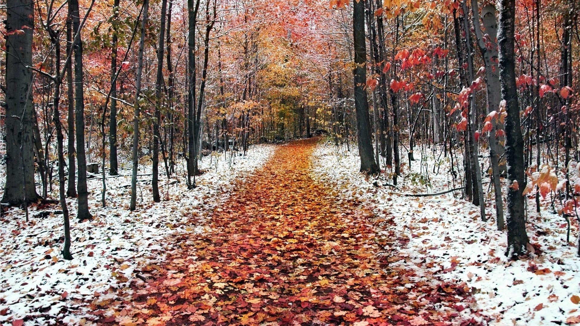 1920x1080 Happy November Image Wallpaper Photo Tumblr, Pinterest