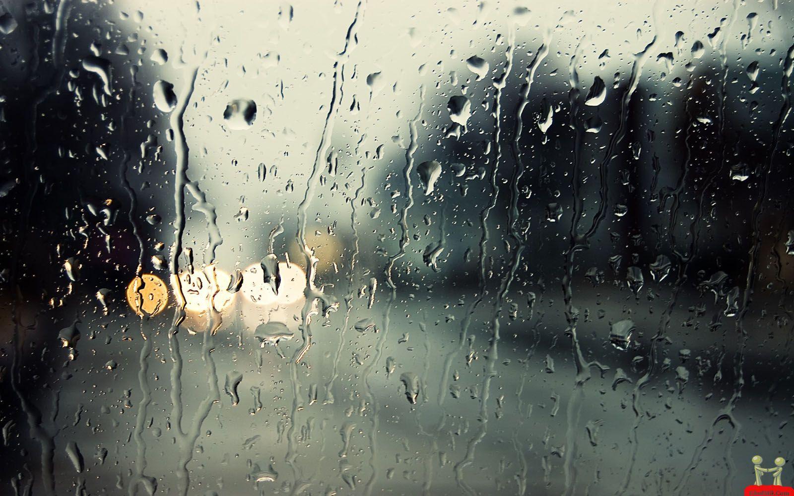 1600x1000 Beautiful Rain Wallpaper for your desktop mobile