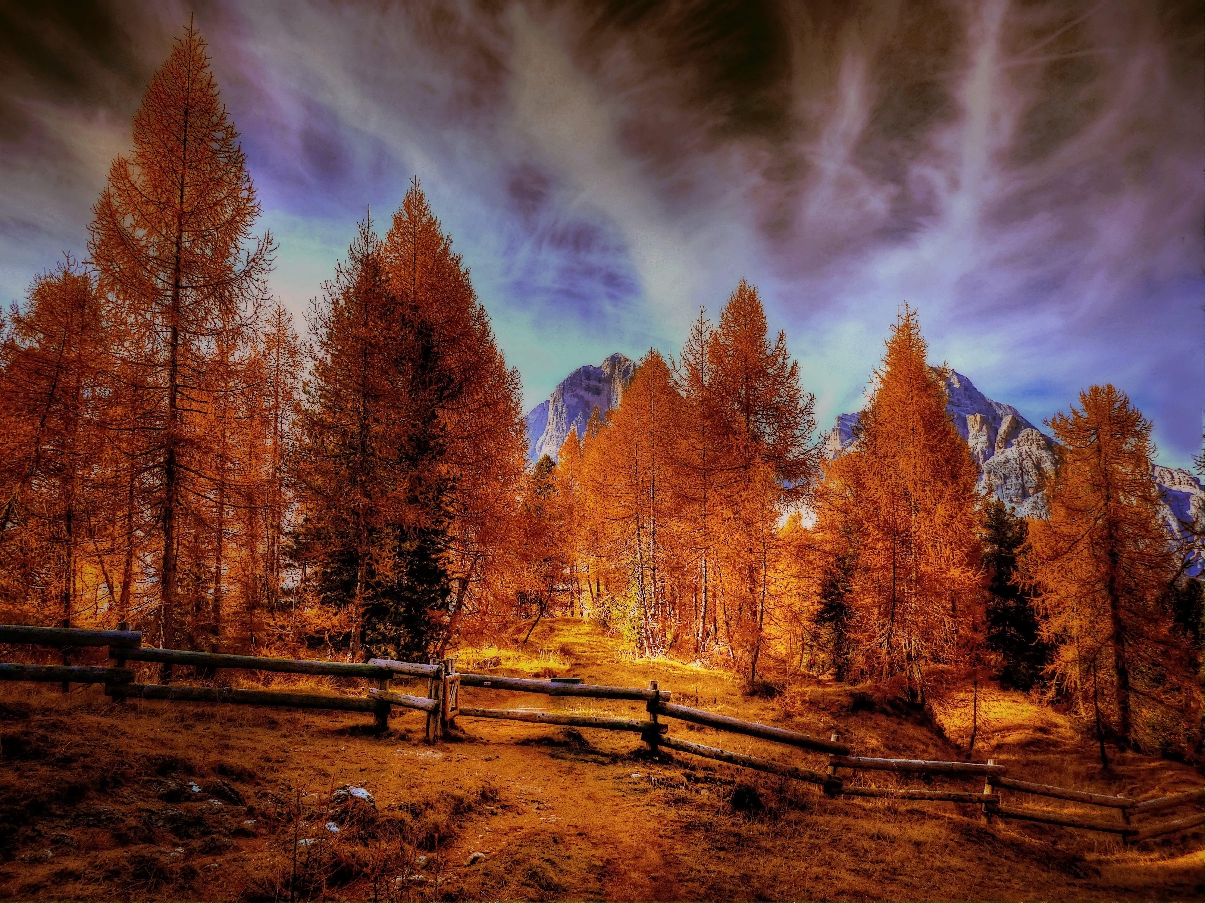 4000x3000 Alpine Mountains Autumn Forest Trees Laptop Full
