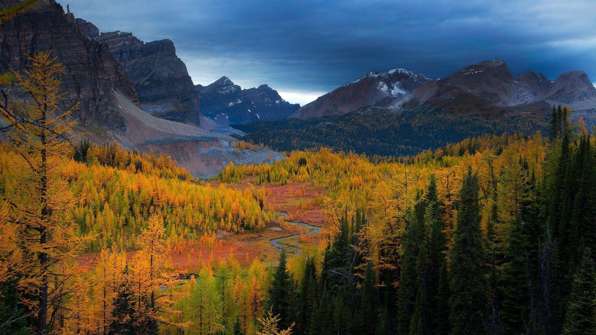 1920x1080 Larch Trees Forest In Autumn By Mountain Range HD Desktop