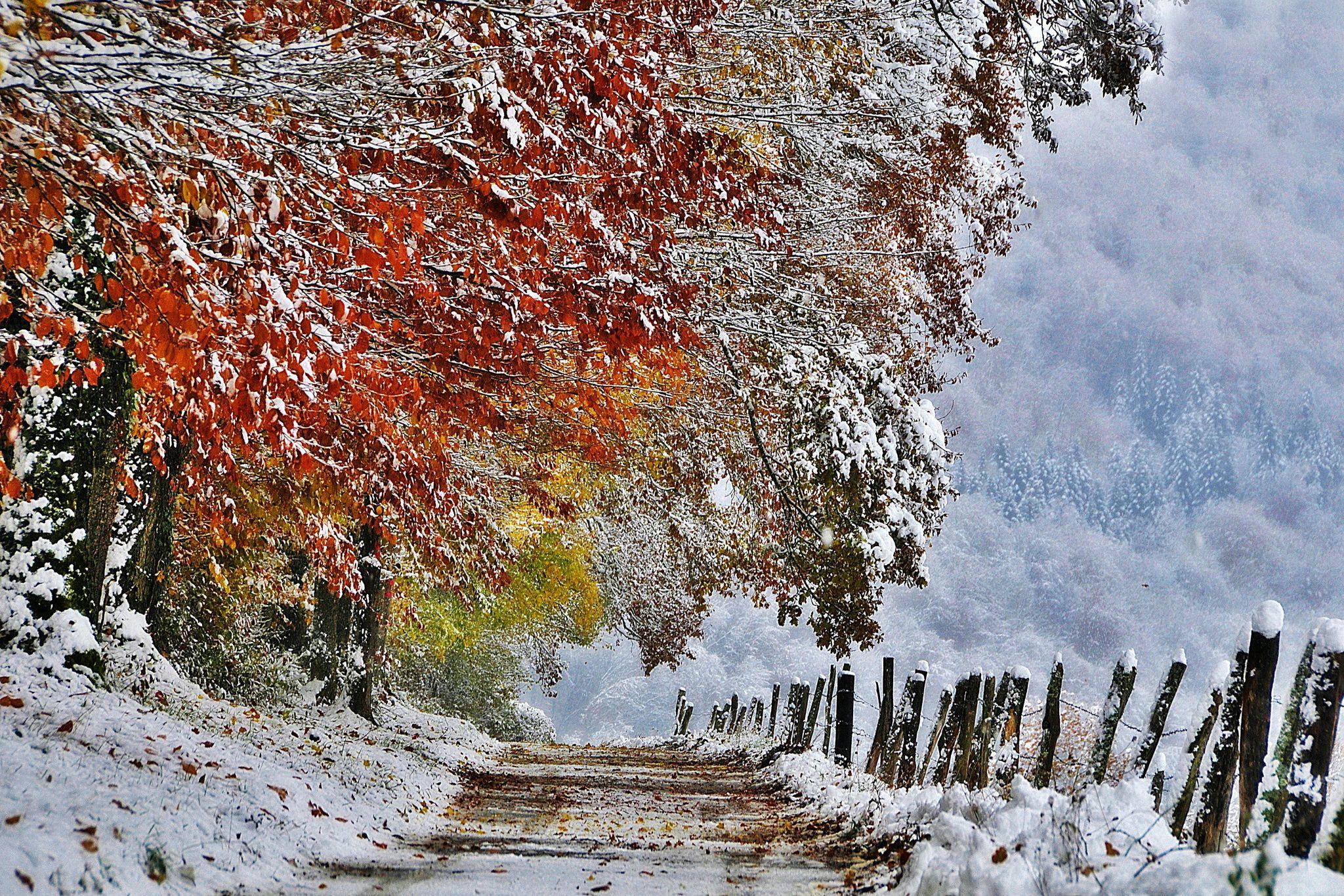 November Nature Wallpapers - Top Free November Nature Backgrounds ...