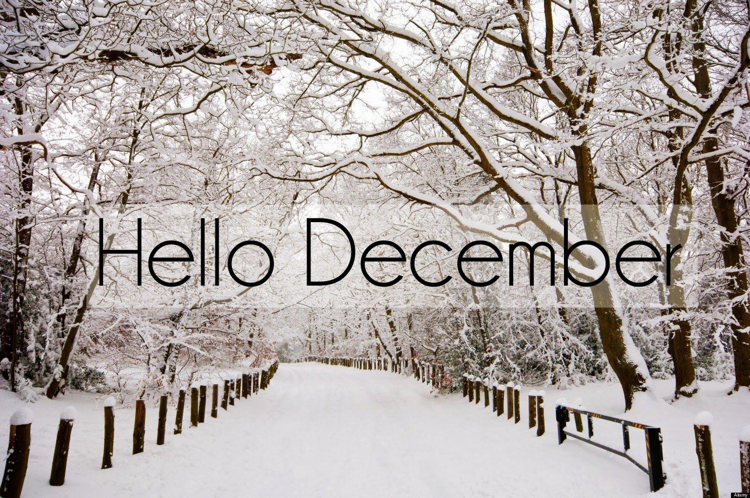 Wallpaper #5] Hello December by sandrareina on DeviantArt