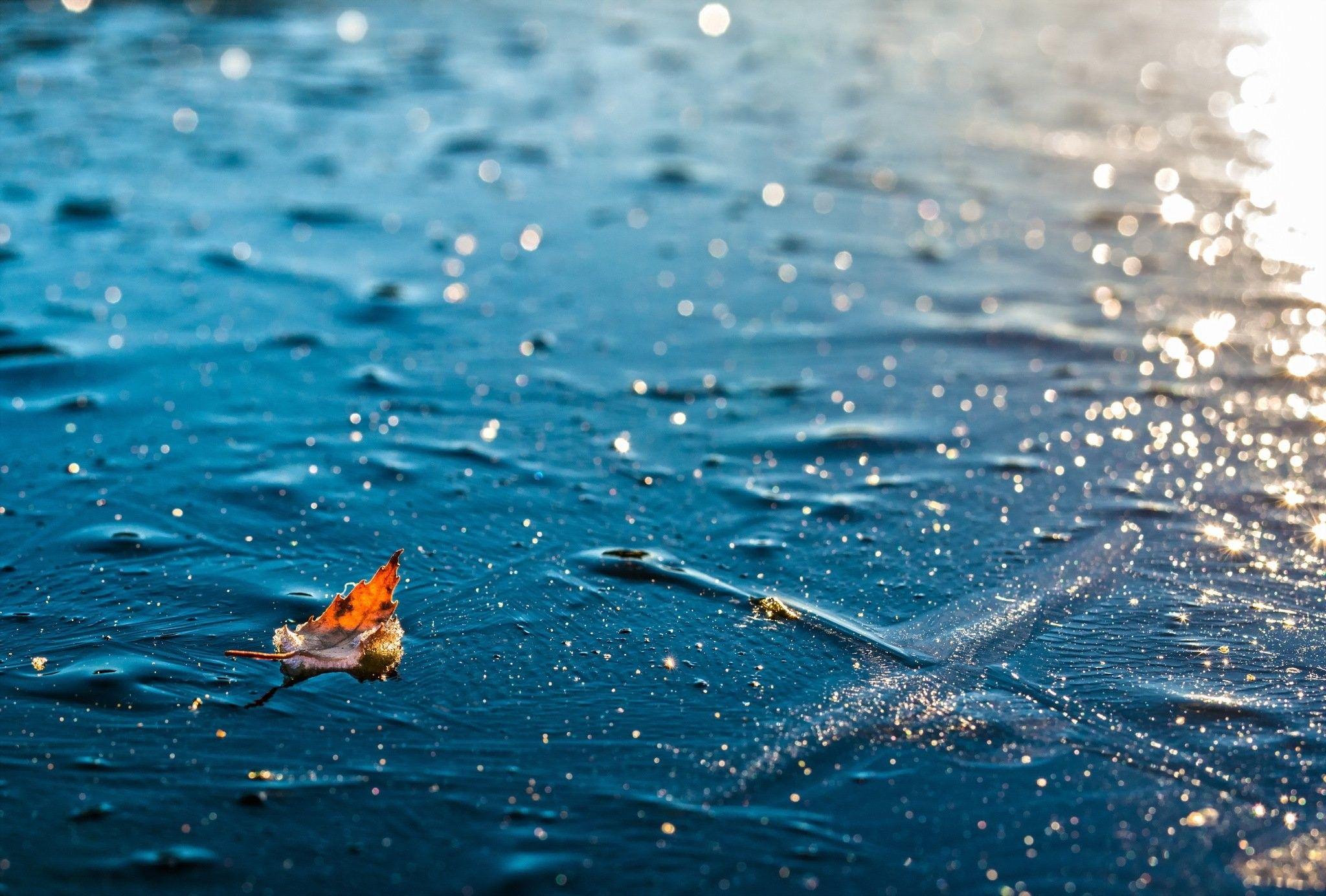 2048x1384 Leaf, Rainy, HD Nature Wallpaper, Smart Phones Ios