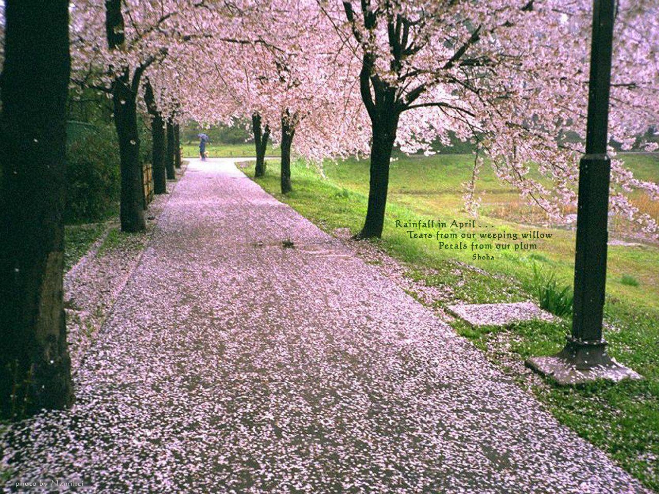 1280x960 Wallpaper Of Rainfall