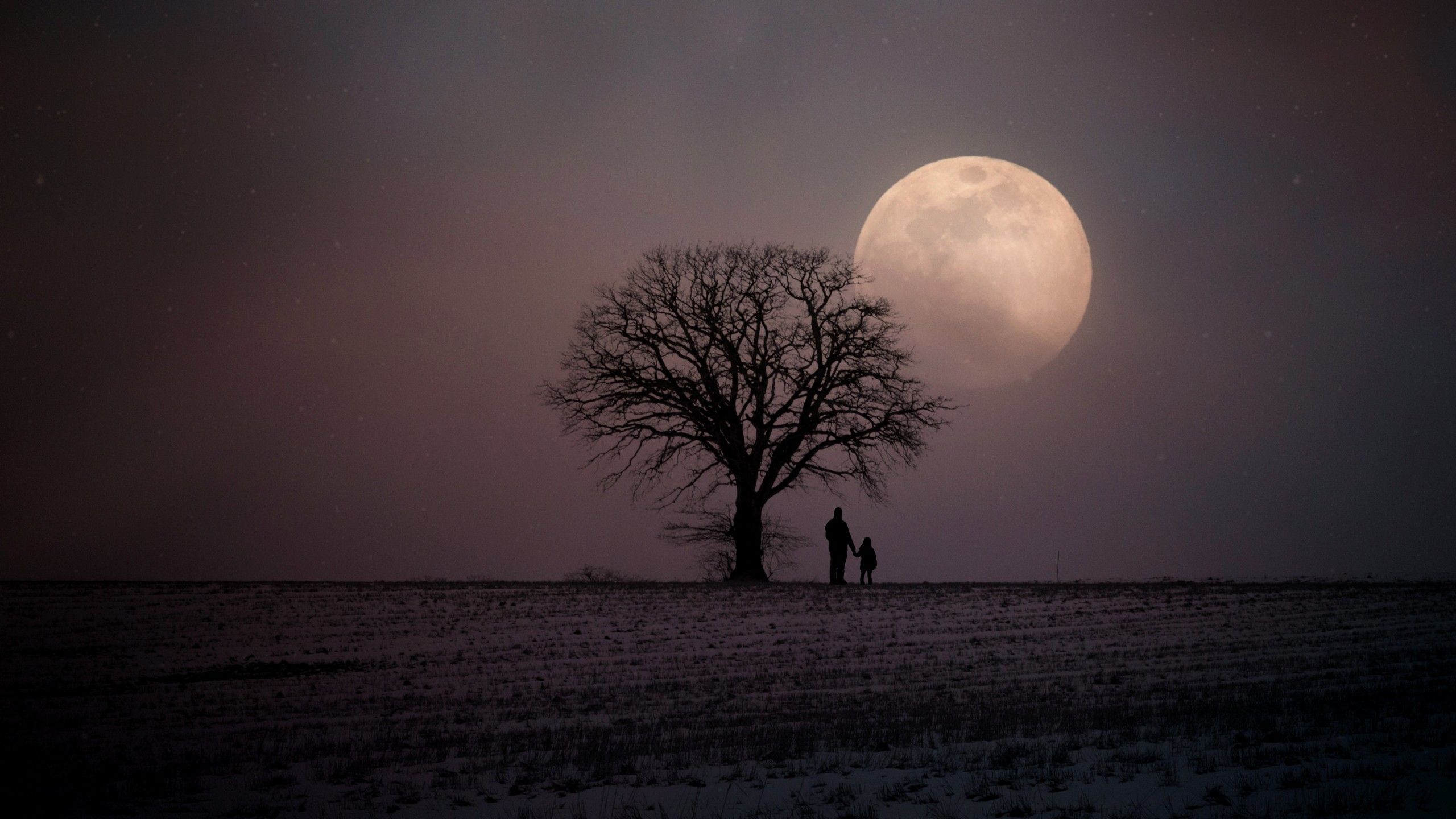 2560x1440 Father And Child Tree Moon Night 4K HD