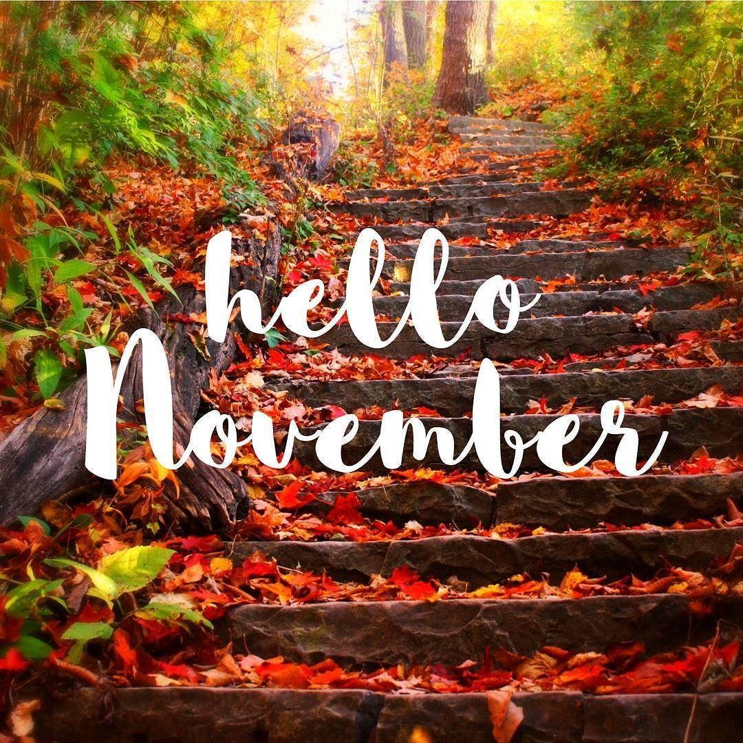 pinterest-hello-november-wallpapers-top-free-pinterest-hello-november