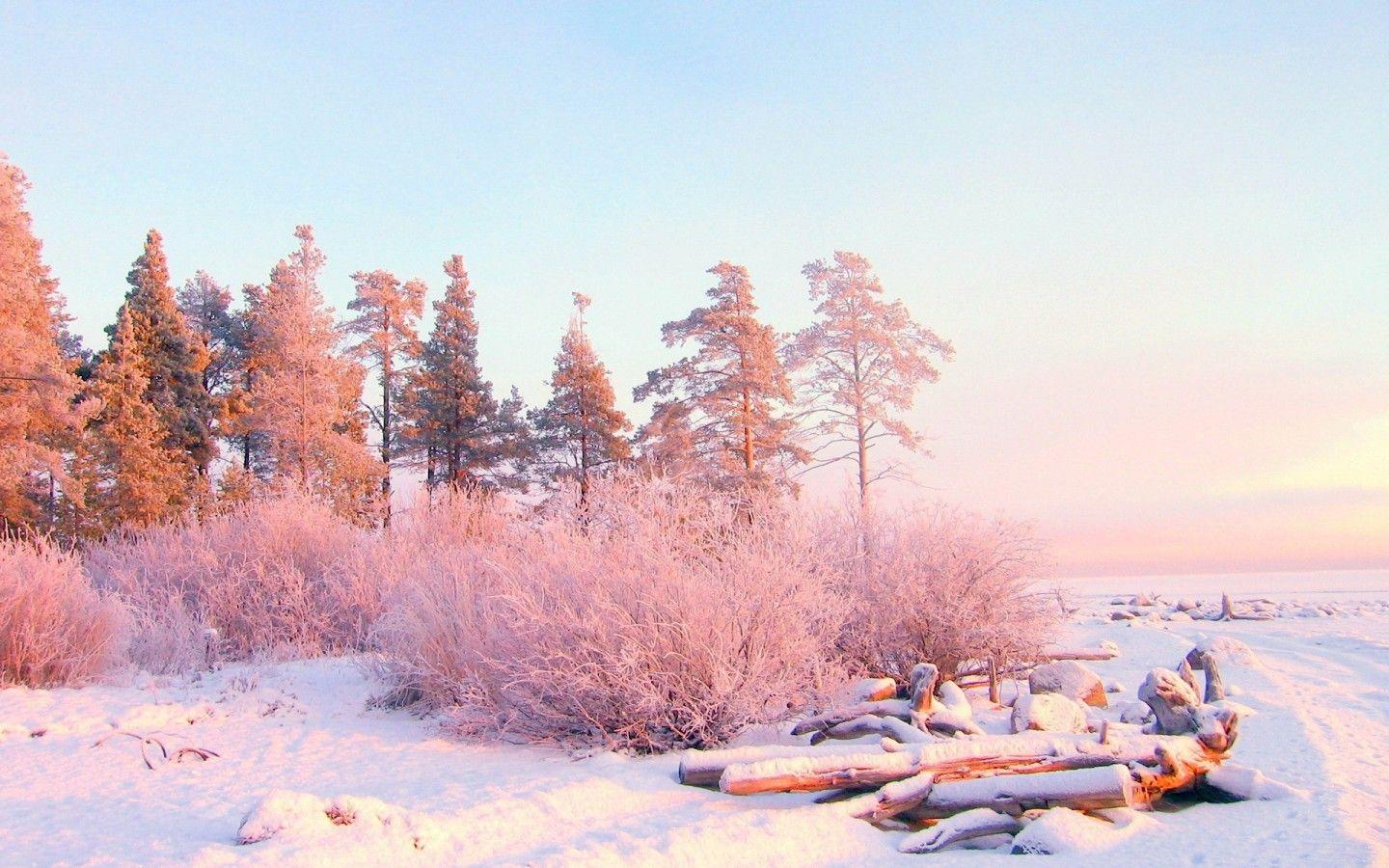1440x900 Encyclopedia Natural Aesthetic Snow Wallpaper